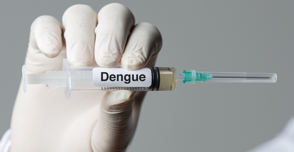 Dengue no Brasil: Sintomas, Tratamento, Dieta e Prevenção – Guia Completo