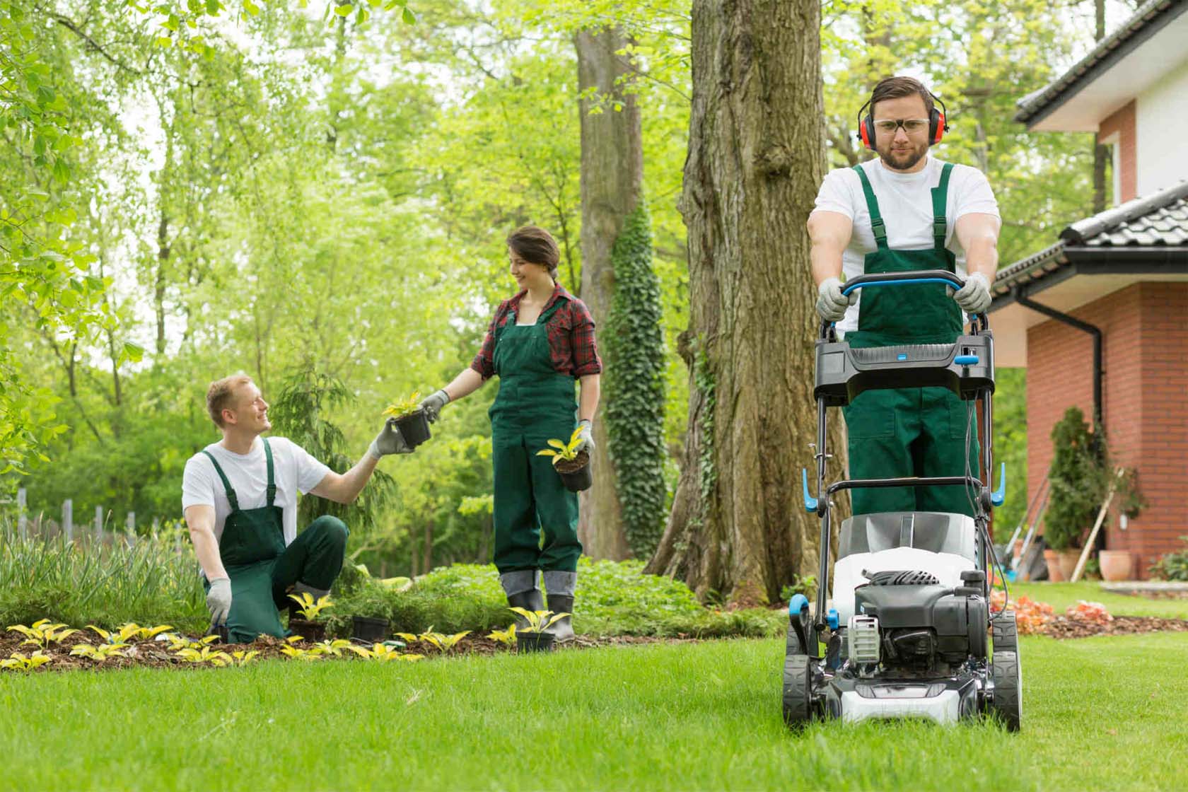 Lawn Service Companies: Costs, Services & How to Pick the Best Provider