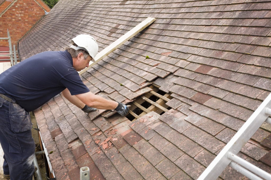 Complete Guide to Roof Repair in Canada: Services, Costs & Prevention