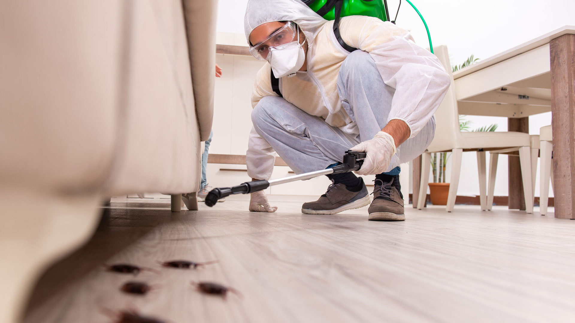 Home Pest Control Guide: Identify Pests, Avoid Health Risks, and Handle Emergencies