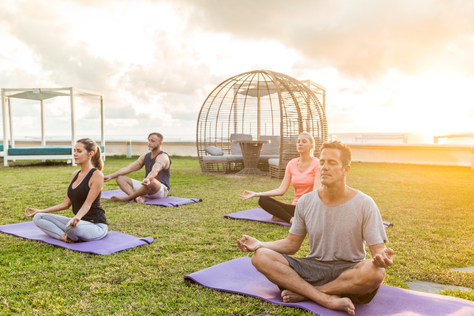 Holistic Wellness: Integrating Mindfulness, Joyful Movement, Nutrition, and Social Ties
