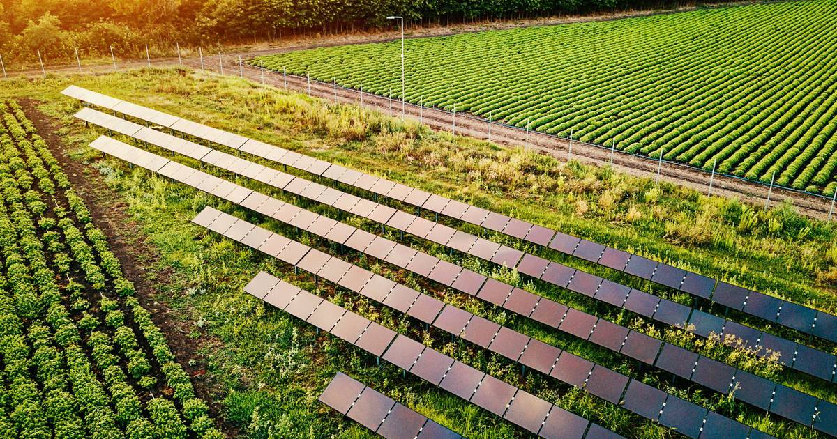 Regenerative Agriculture & Climate-Smart Farming: Soil Health, Carbon Sequestration & Digital Tools