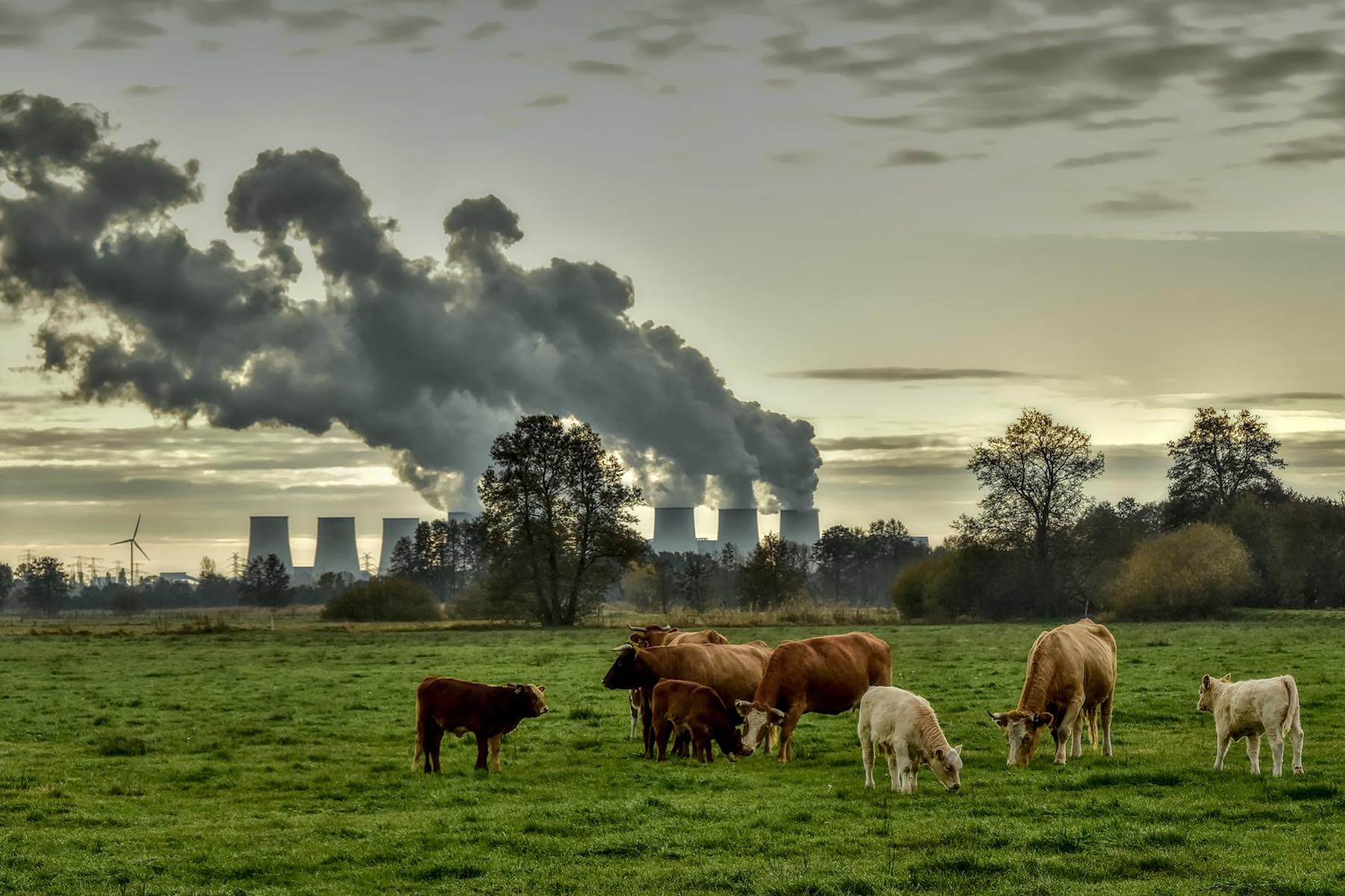 Hidden Pollution Pathways: From Water and Air Toxins to Regulatory Solutions