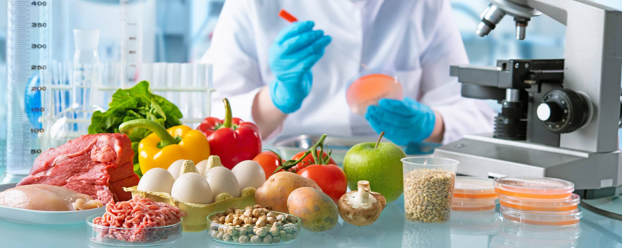 Metabolic Harmony and Longevity: How Gut Health, Fiber, and Micronutrients Work Together