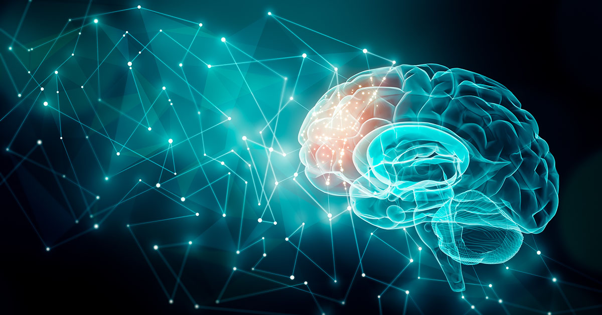 Decoding Brain Communication: Neurons, Memory, and BCIs