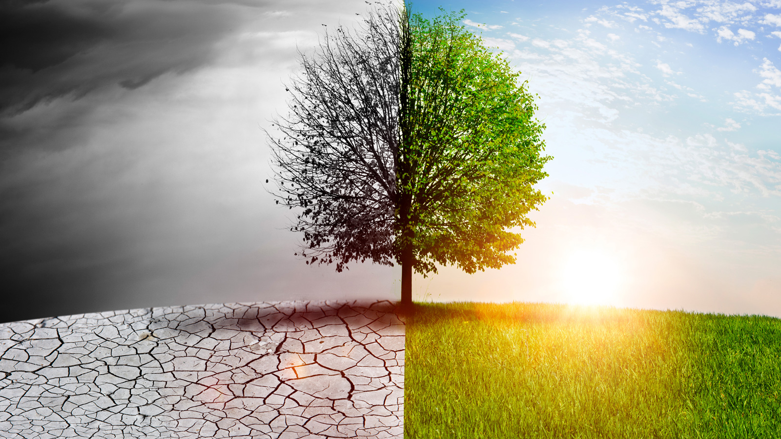 Climate Change Drivers, Impacts, and Adaptation: A Comprehensive Guide