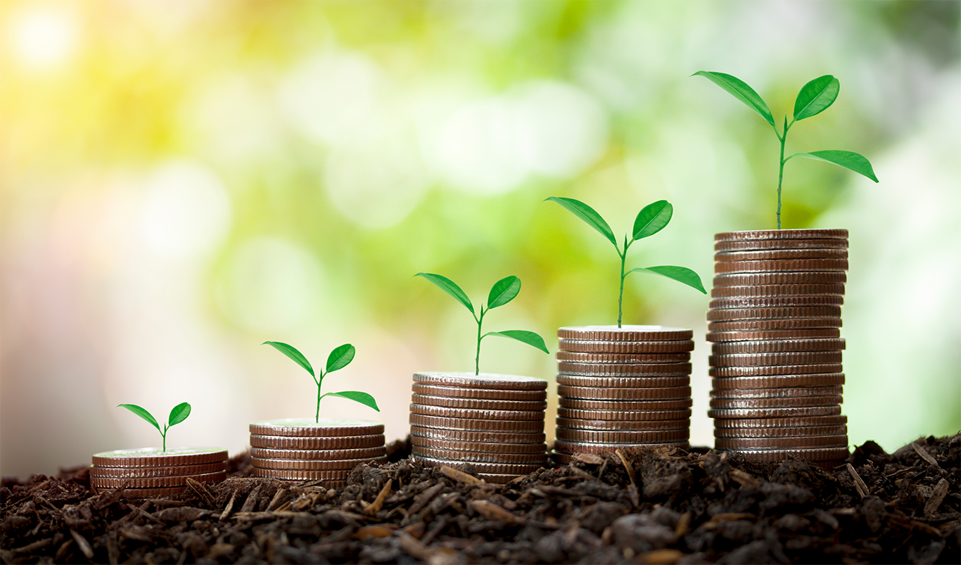 Sustainable Investing 2.0: Impact Strategies, Green Bonds, and Carbon Footprint Assessment