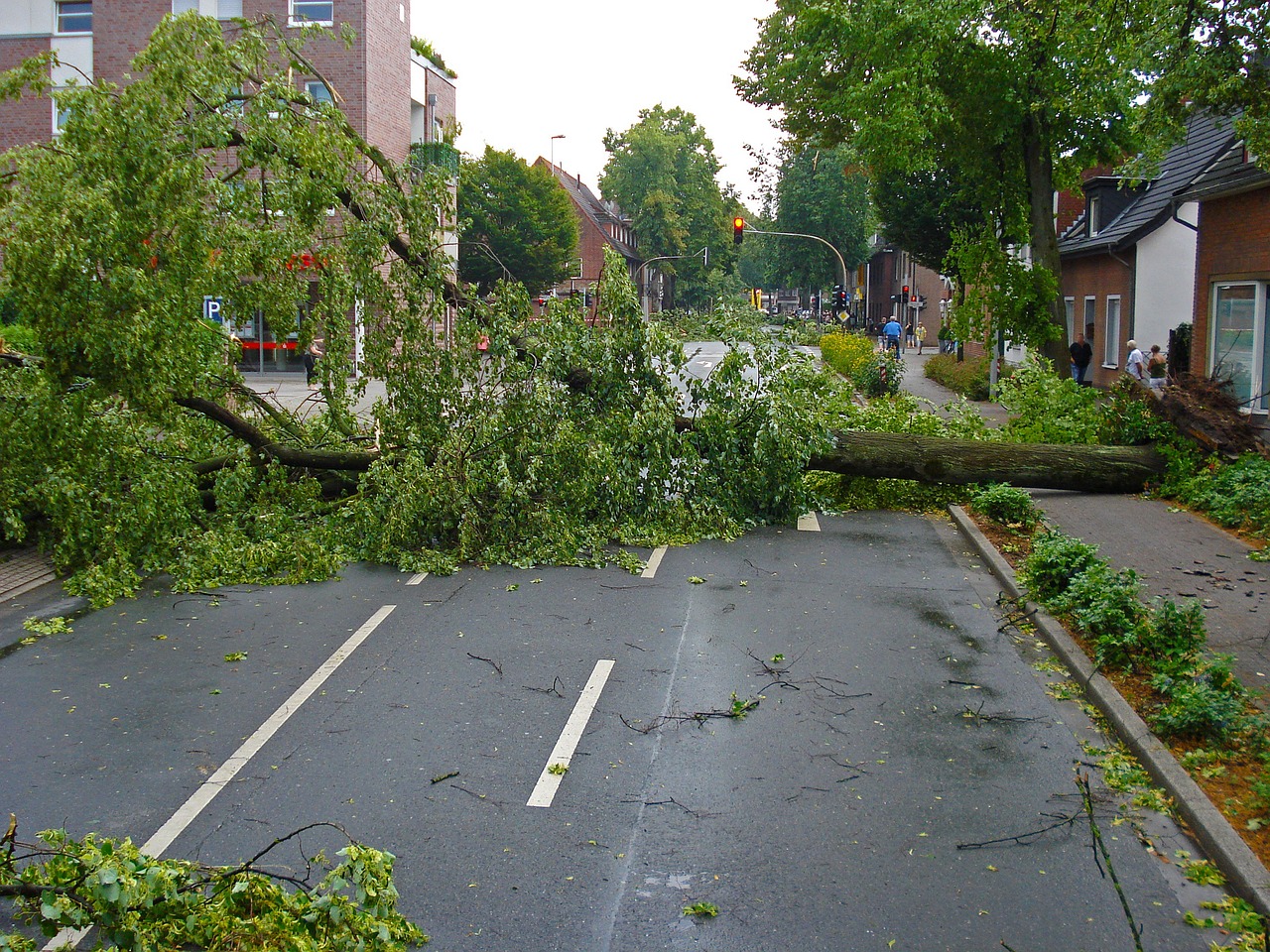 How AI Is Helping Utilities Prepare for Extreme Weather and Grid Failures