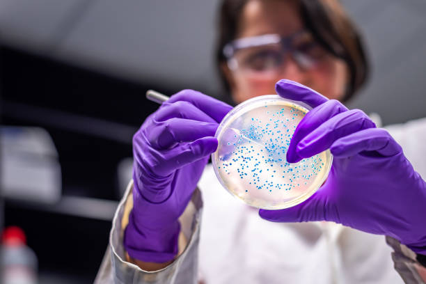 Gut Microbiota and Weight Loss: Innovative Strategies for Metabolic Health