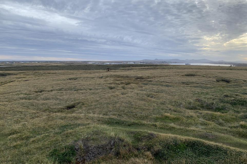 15-30 Million Year Old Rainforest Fossils Discovered Beneath Falkland Islands