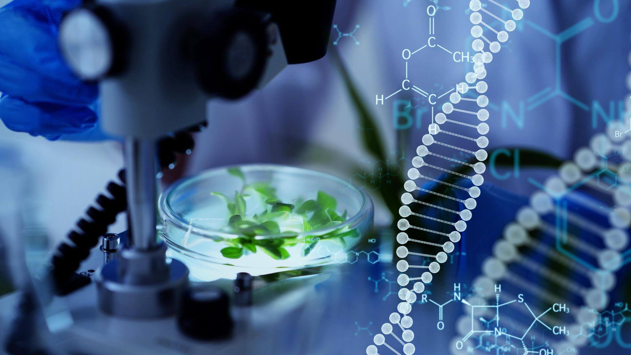 How CRISPR, Synthetic Biology, and Precision Medicine Are Transforming Biotech