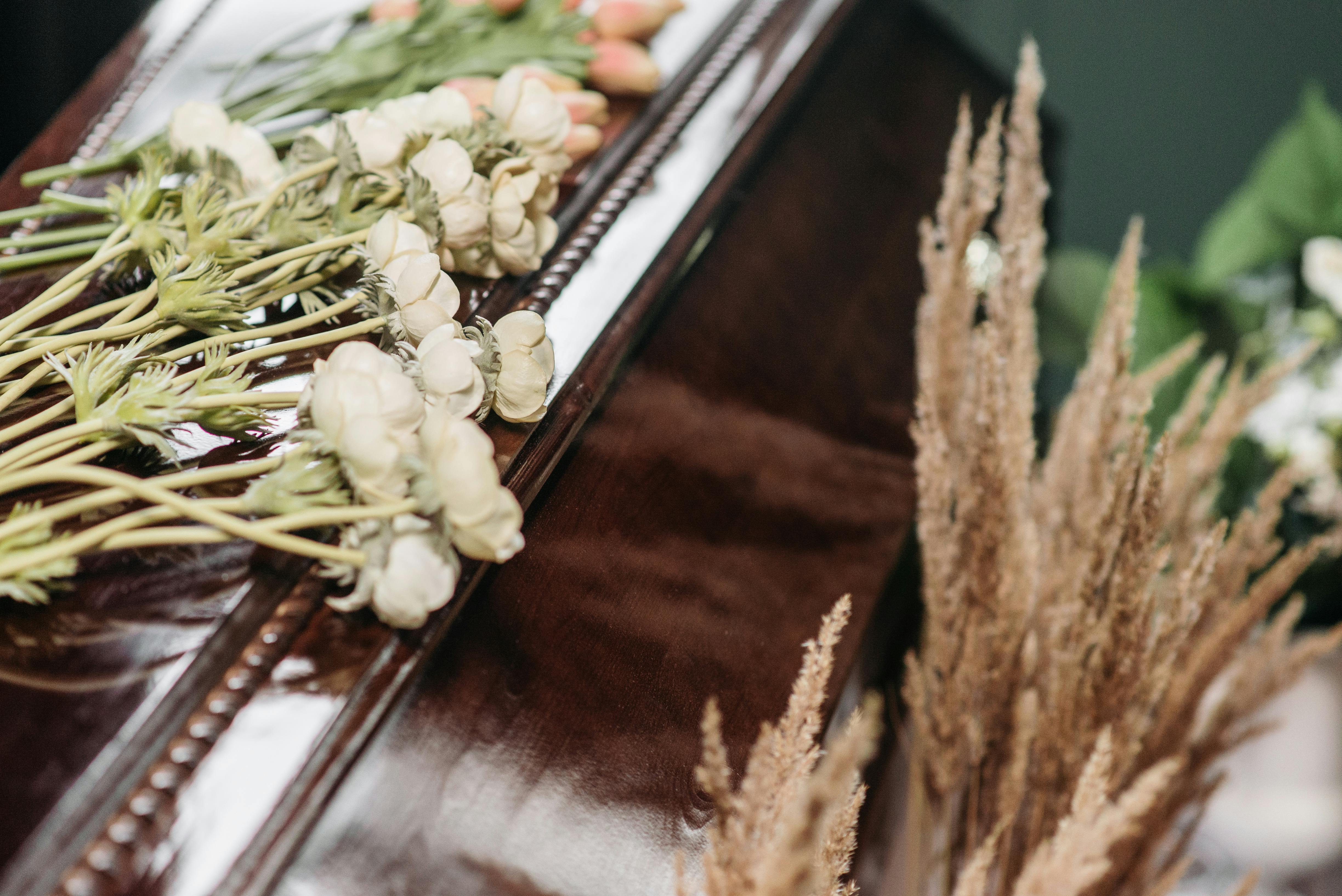 San Jose Cremation Guide: Costs, Process, Eco Impact & Memorial Options