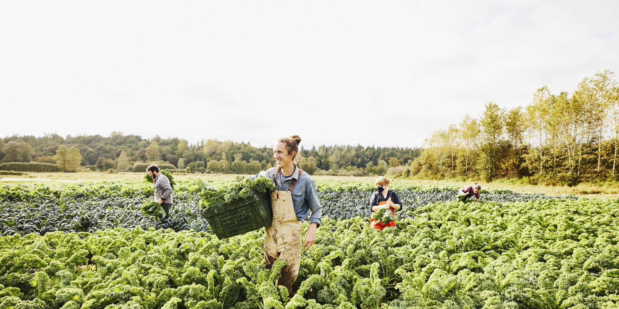 How Lab-Grown Meat and Smart Agriculture Are Transforming Global Food Systems