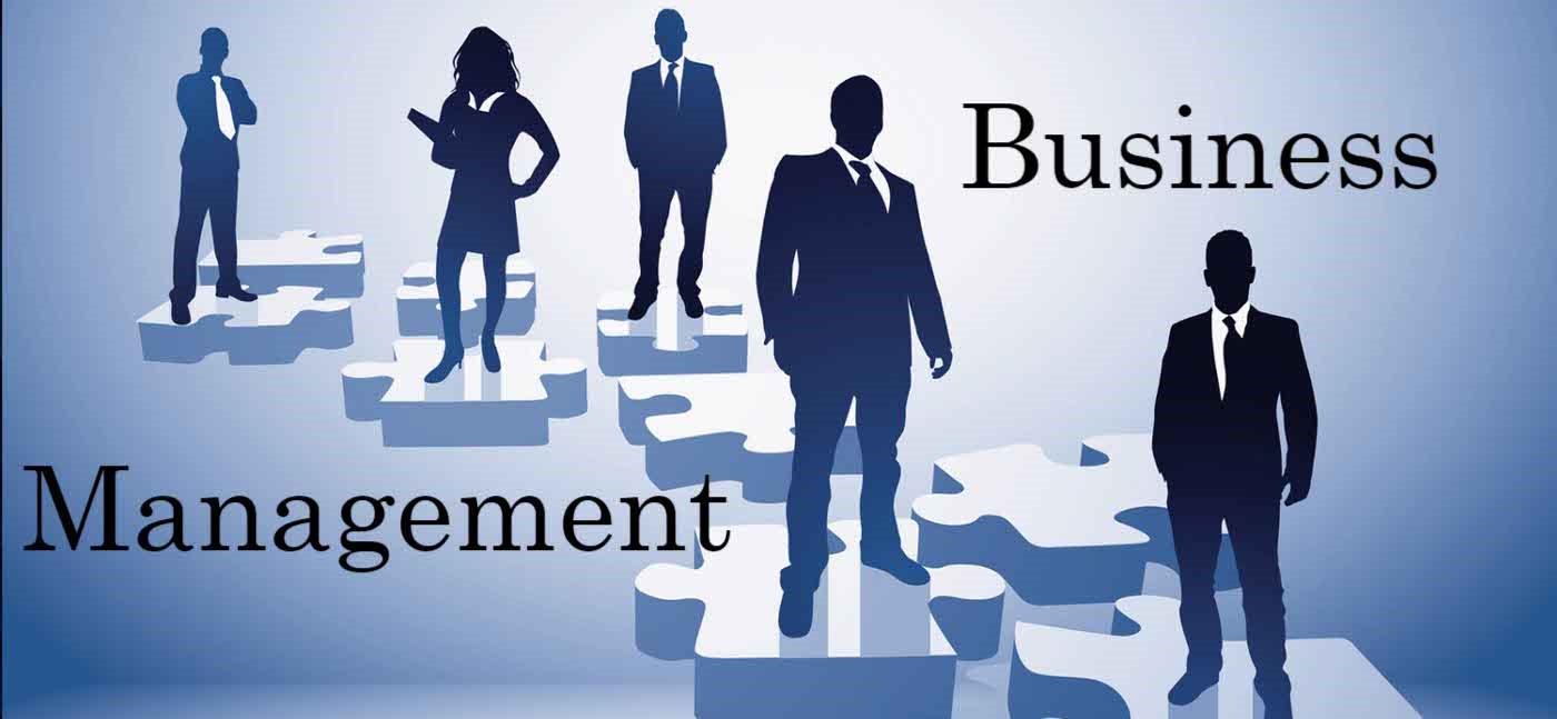 Guía Completa para Elegir tu Grado en Gestión Empresarial en México (2025)