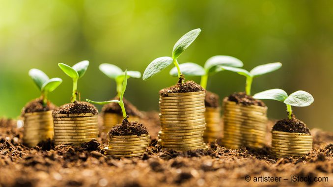 Festgeld vs. Tagesgeld: So legen Sie Ihr Geld sicher und gewinnbringend an