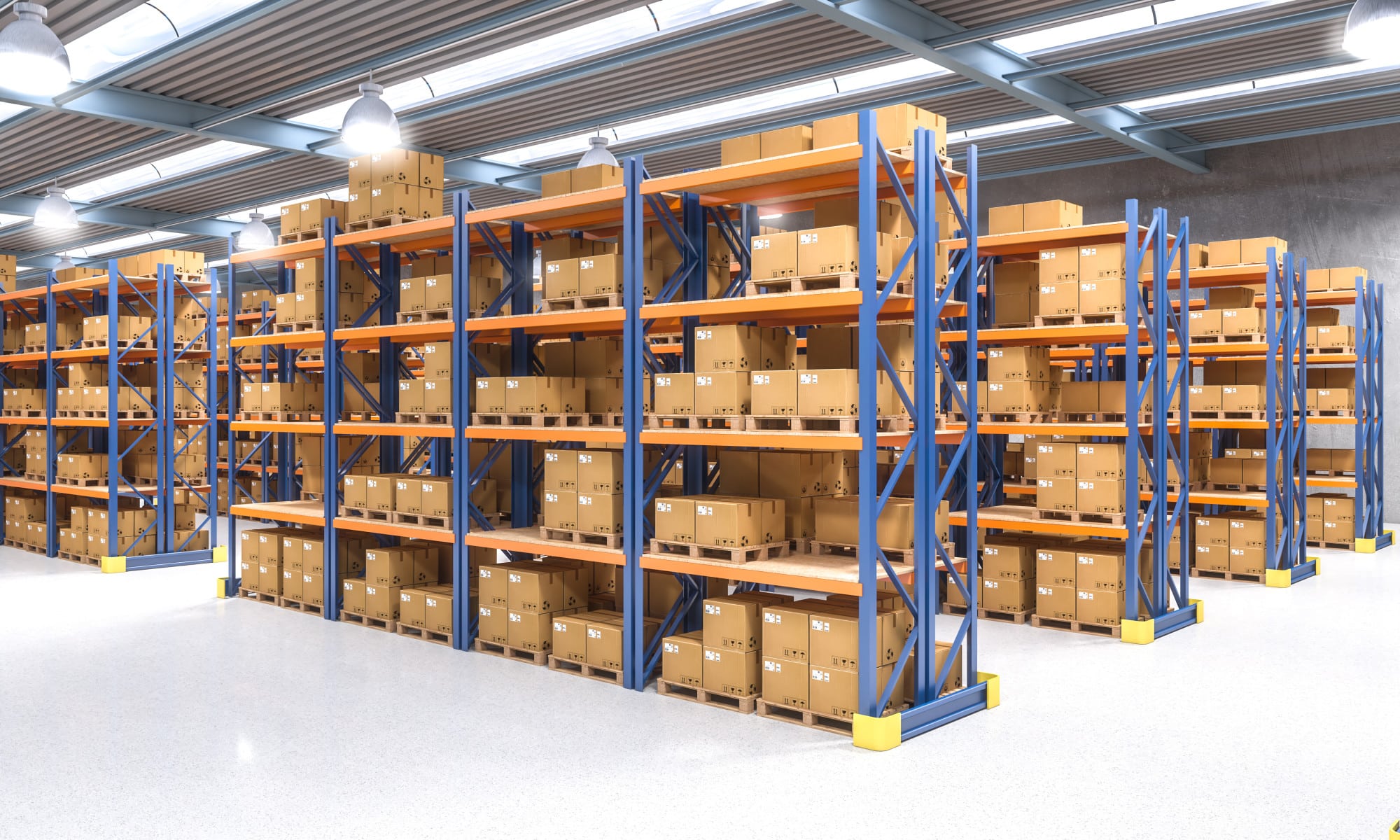 Warehouse Racking Systems Guide: Types, Layout Design, and Load Capacities