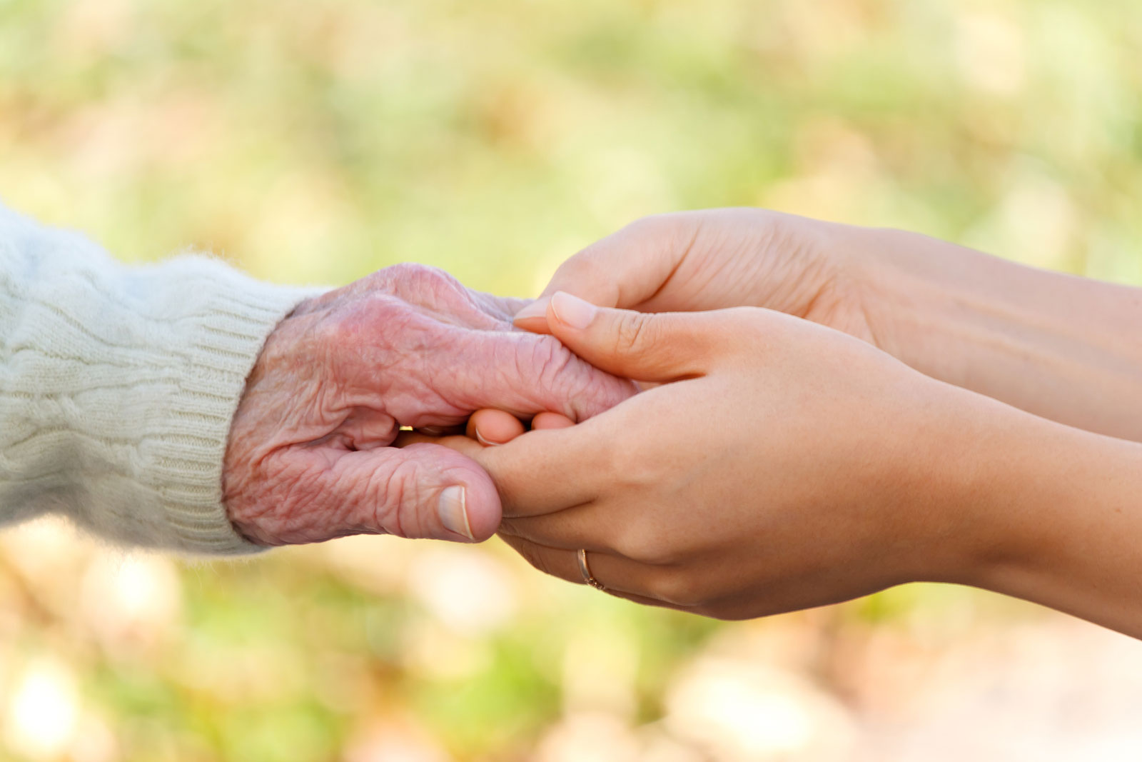 Senior Care Services in the US & Florida: A Complete Guide to Health, Programs, Providers, and Choosing Care